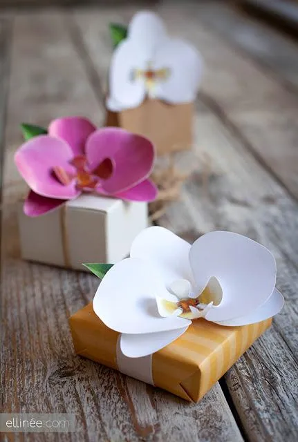 Diy: orquideas para decorar - Paperblog