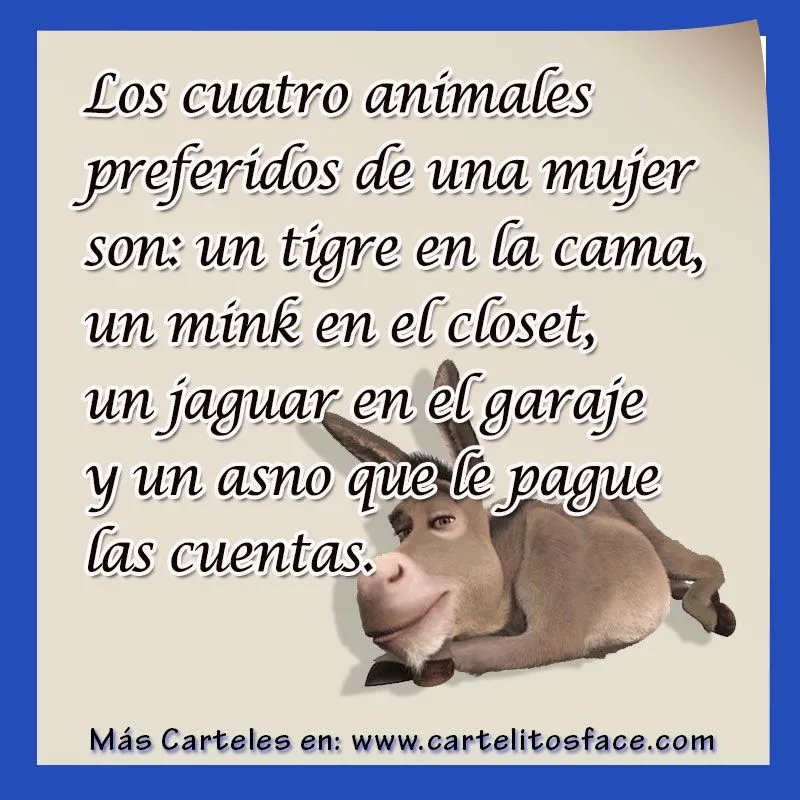 Los-cuatro-animales-preferidos ...