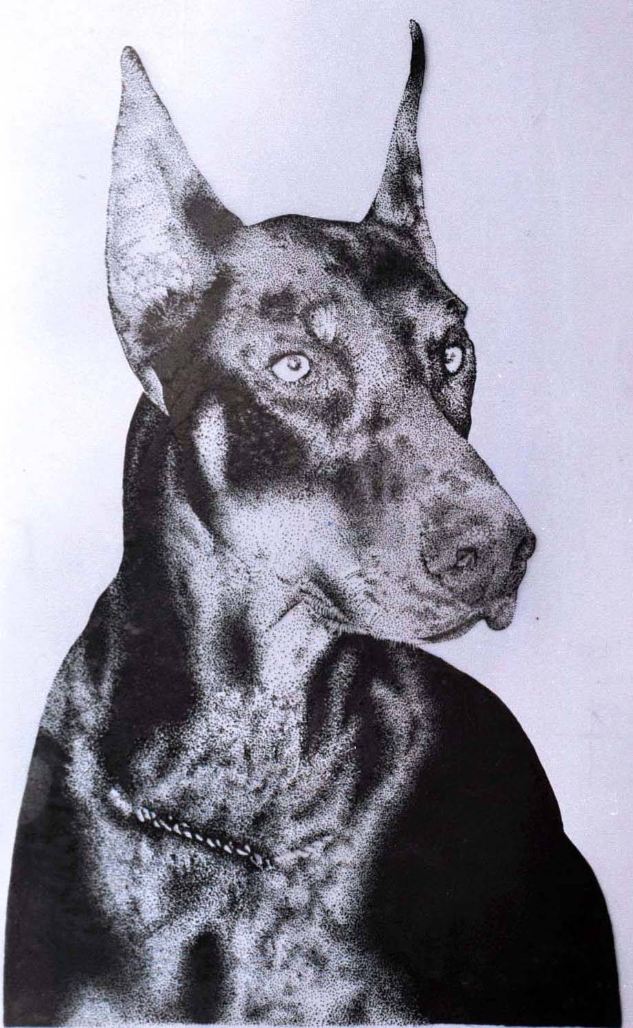 Doberman Marcelo Rossetti - Artelista.