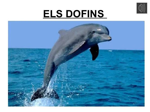 Dofins