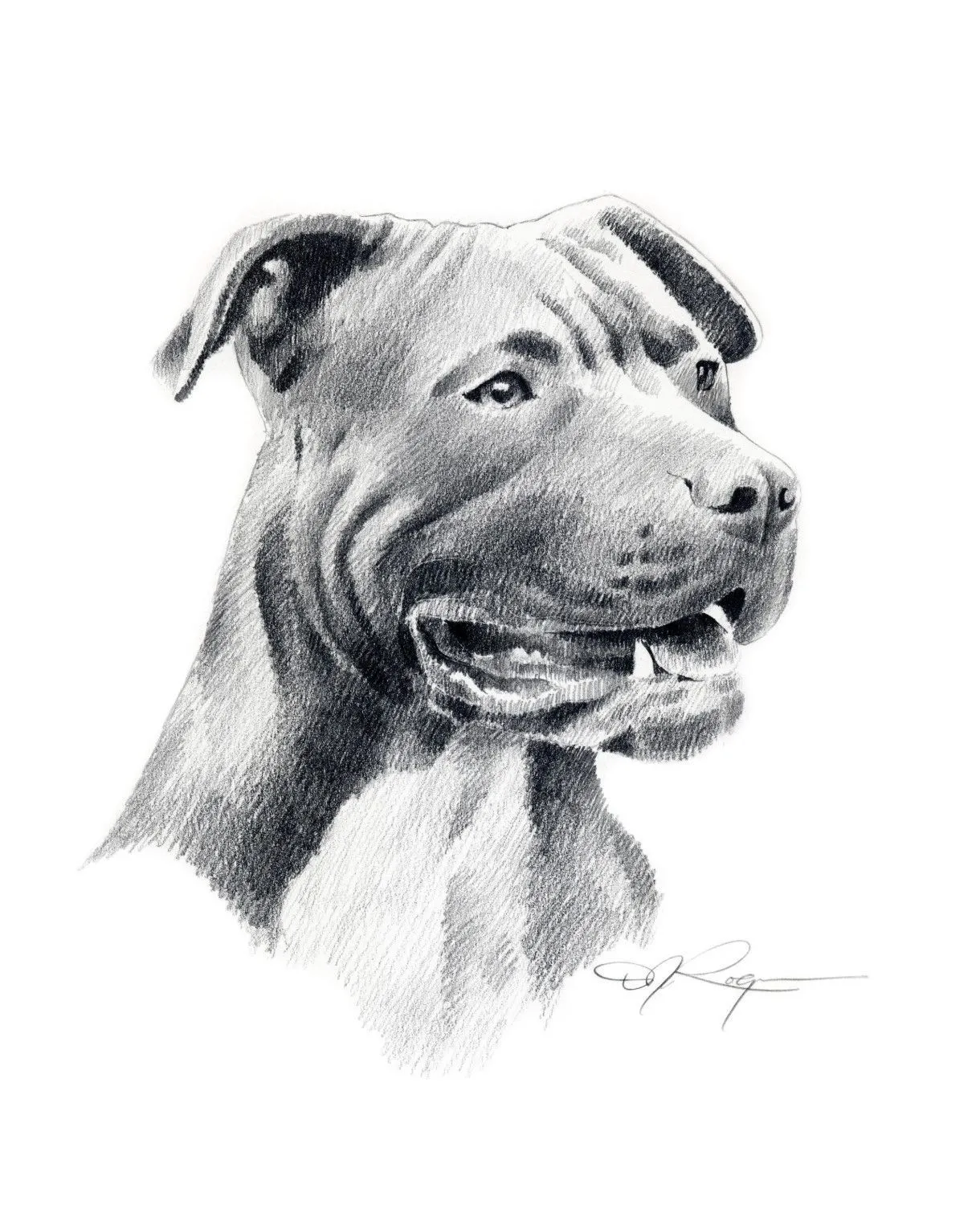 Dog Drawing Pitbull | art | Pitbull terrier, Pitbull drawing ...