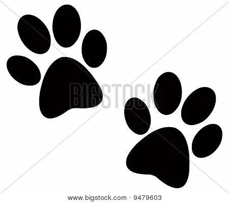 Dog Vectors, Stock Photos & Illustrations | Bigstock