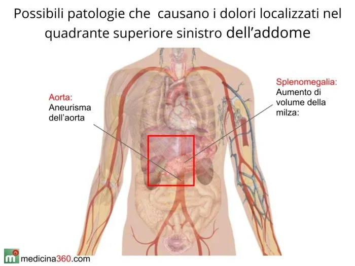 Dolori addominali a destra, sinistra o al basso ventre: cause e ...