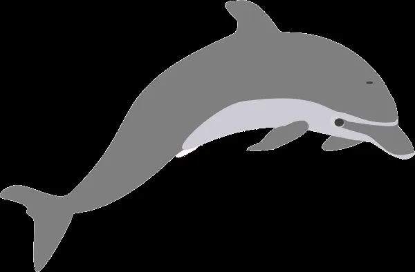 Dolphin Outline Grey clip art - vector clip art online, royalty ...