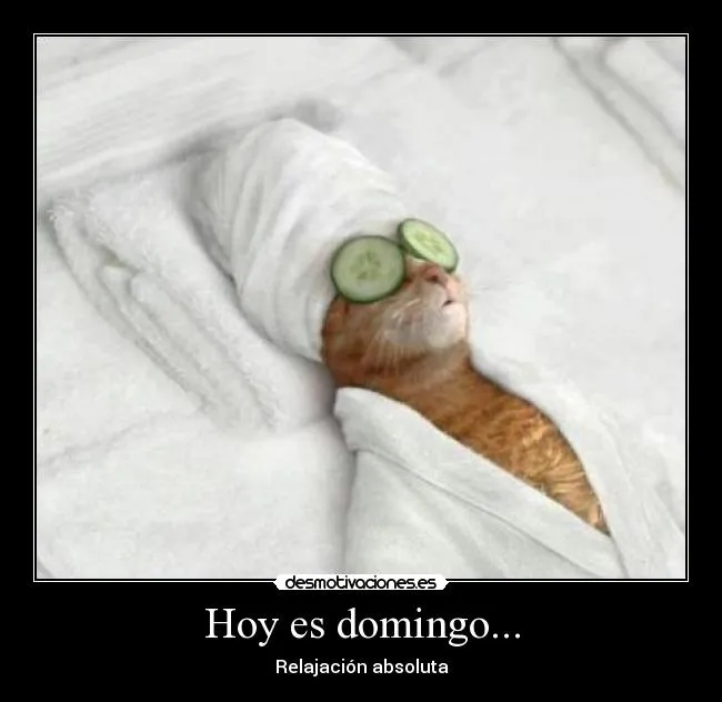 Hoy es domingo... | Desmotivaciones