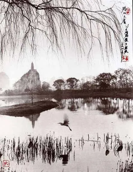 Don Hong-OAI, el artista chino que "dibuja" sus fotografías