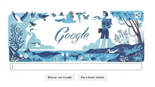 Nuevo «doodle» - Rachel Louise Carson recibe el homenaje de Google ...