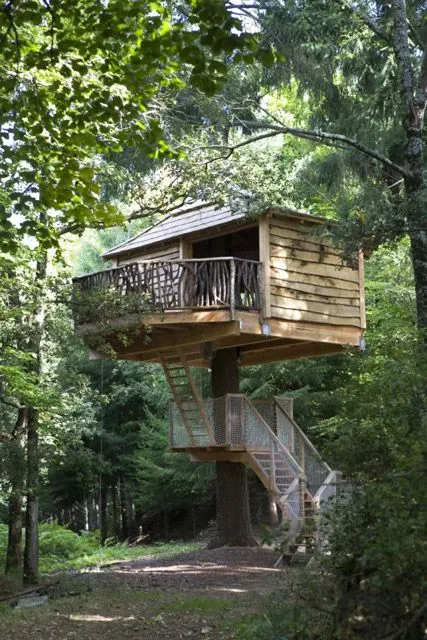 Dormir en los árboles puede ser una realidad - Conciencia Eco