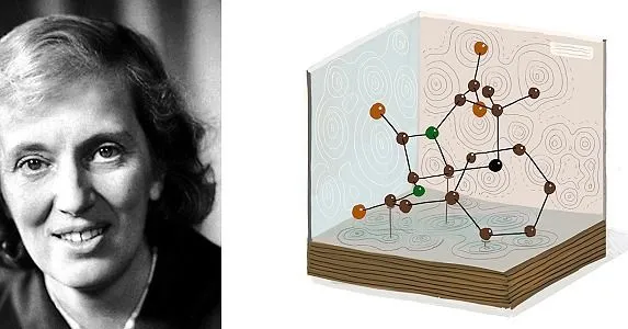 Dorothy Hodgkin Biography | POPSUGAR Tech