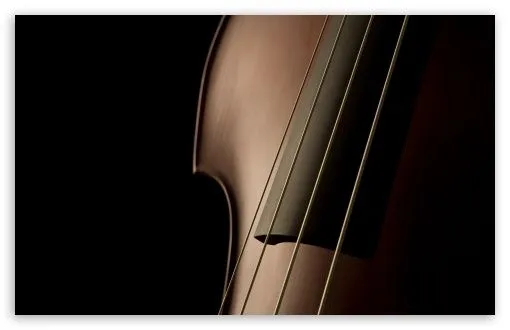 Double Bass Close Up HD desktop wallpaper : High Definition ...