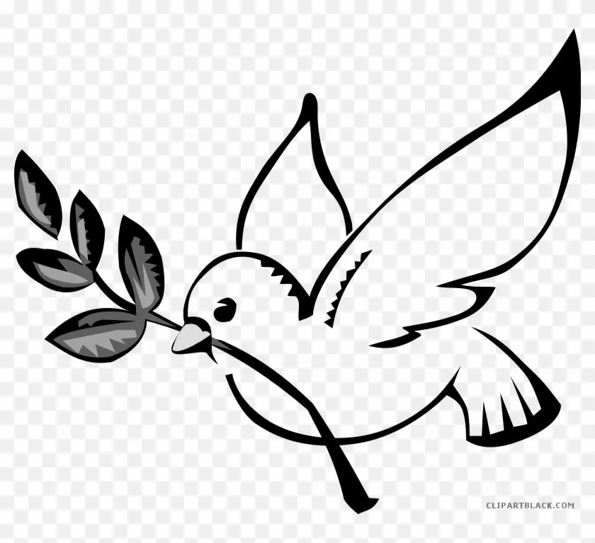 Dove Animal Free Black White Clipart Images Clipartblack - Dibujo Paloma De  La Paz - Free Transparent PNG Clipart Images Download