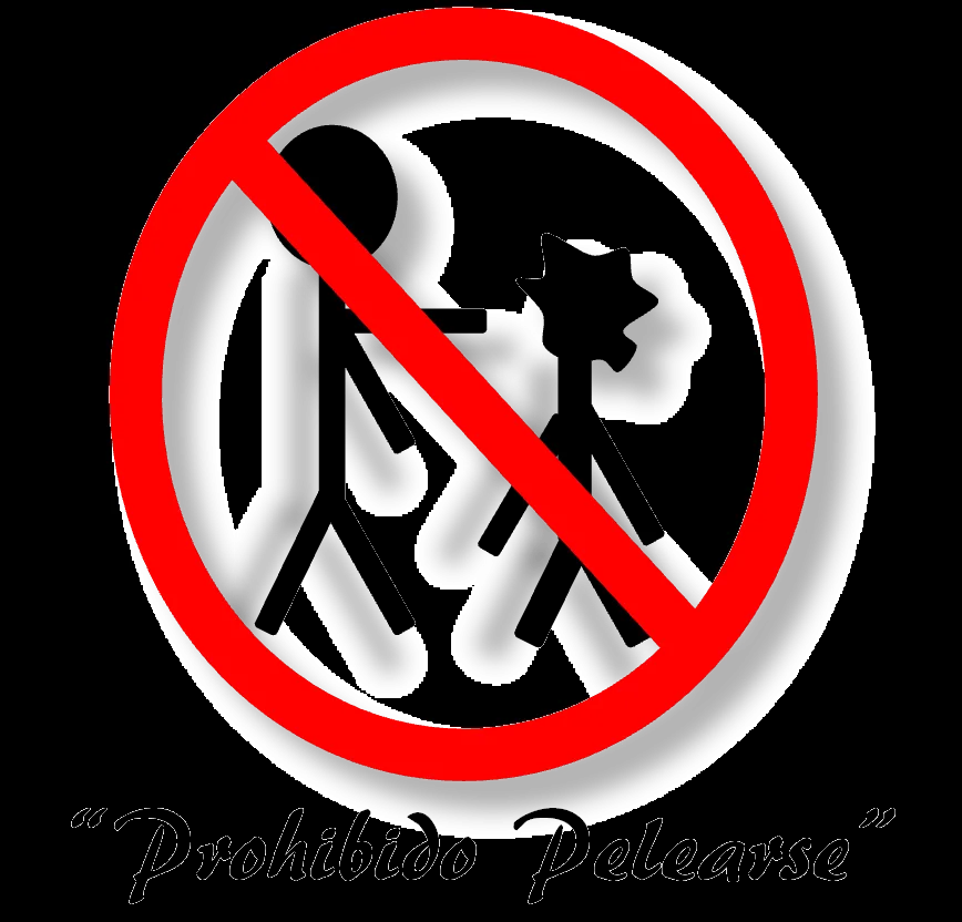 D.Portilla: agosto 2010