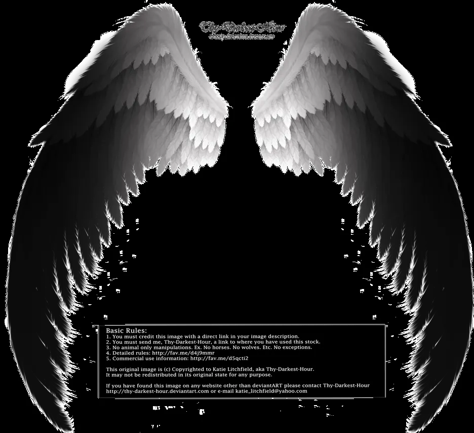 Drabbles Angel Wings (Mortal Instruments) - Wattpad