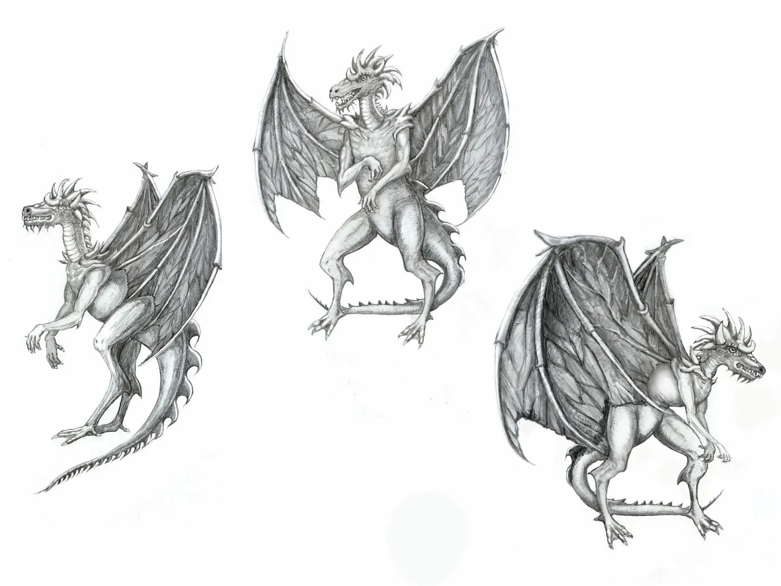 DRAGONES, MONSTRUOS Y CRIATURAS FANTÁSTICAS: Dragones a lápiz