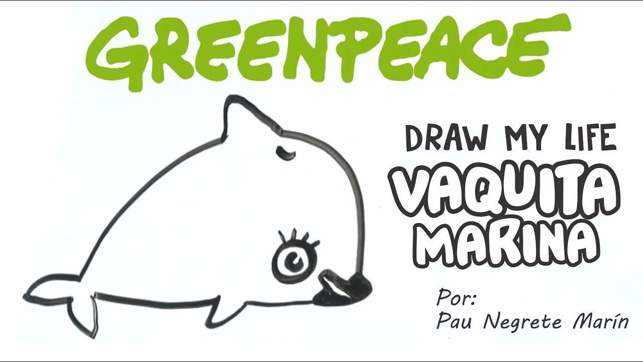 DRAW MY LIFE ☆Vaquita Marina☆ English Subtitles Available(CC) - YouTube