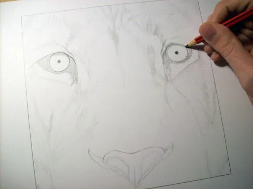 Drawing of lion finished / Dibujo de león terminado | Luis María ...