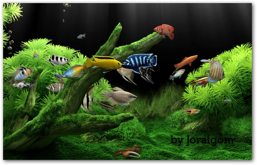 Dream Aquarium Screensaver v1.2592 Dale Vida a tu PC Con Este ...