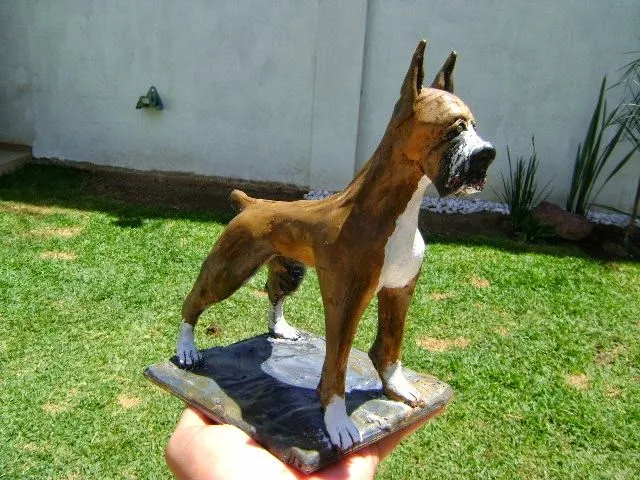 Duddy Cool: Boxer, perro de plastilina