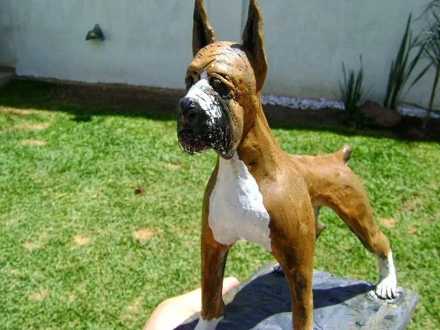 Duddy Cool: Boxer, perro de plastilina