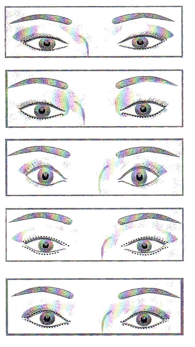 dulces amables y de aspecto mas joven tipos de ojos