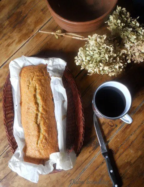 DULCES BOCADITOS: BIZCOCHO DE VAINILLA Y CHOCOLATE SIN LACTOSA