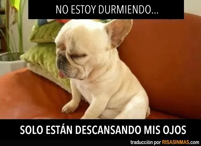 No estoy durmiendo