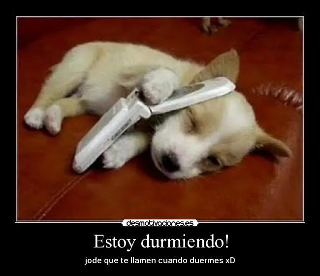 Estoy durmiendo! | Desmotivaciones