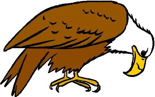 Eagle Clip Art