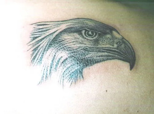 Eagle Tattoos [group] most recent on FlickeFlu