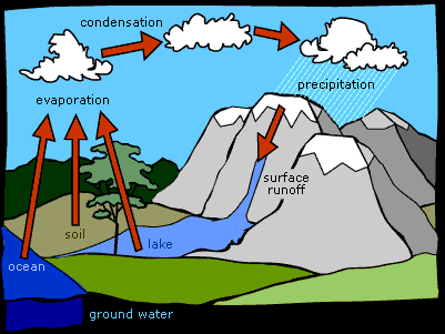 Earth Floor: Cycles