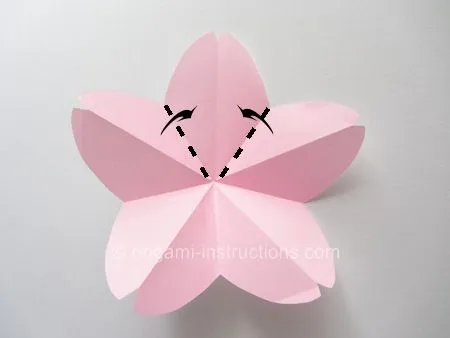 Easy Origami Cherry Blossom Folding Instructions