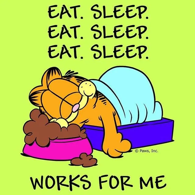 Eat. #Sleep. #Repeat. #cat #cats #lazy #pet #comics #pets #funny ...