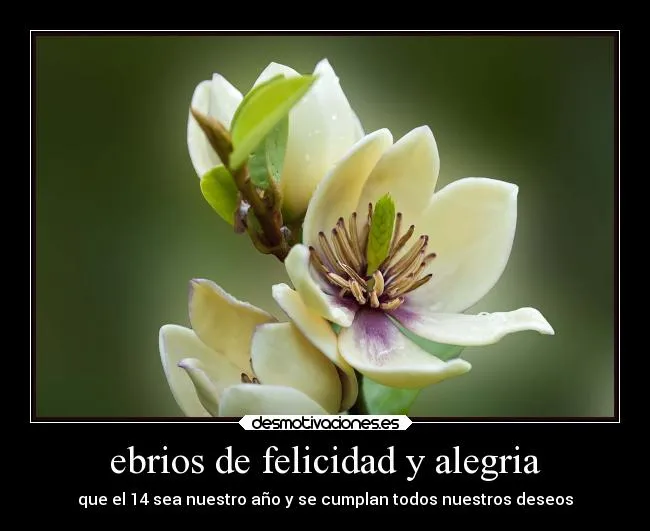 ebrios de felicidad y alegria | Desmotivaciones