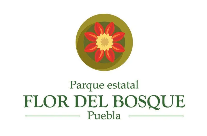 eco aventura puebla: Parque Estatal Flor del Bosque