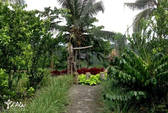 eco-friendly pathway - Picture of d'Alas warung, Ubud - TripAdvisor