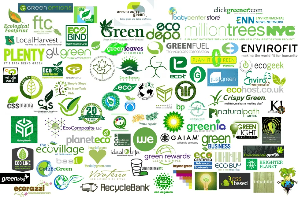 Una tarde en el ECO-mundo | SCIENTIA