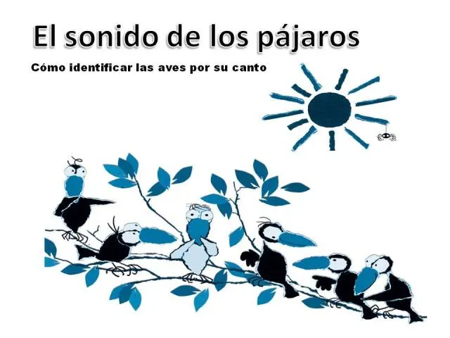 ECOAULA: El sonido de los pájaros