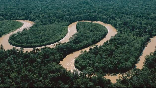 ECODIVIÉRTETE: AMAZONAS