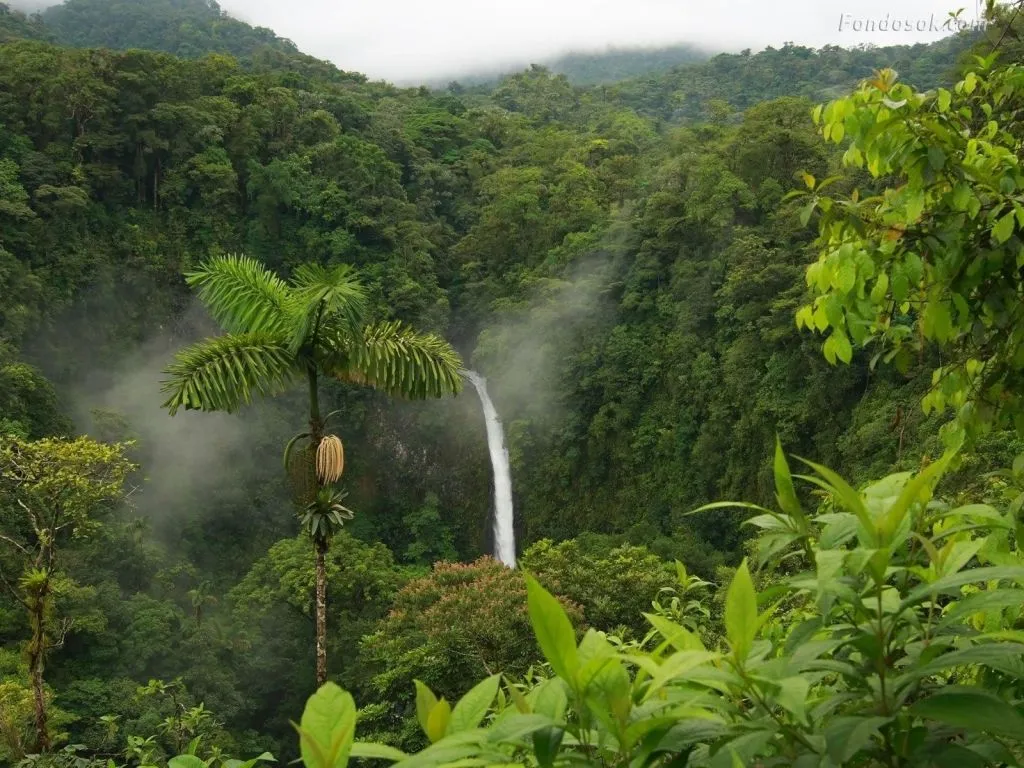 Ecología: 05/