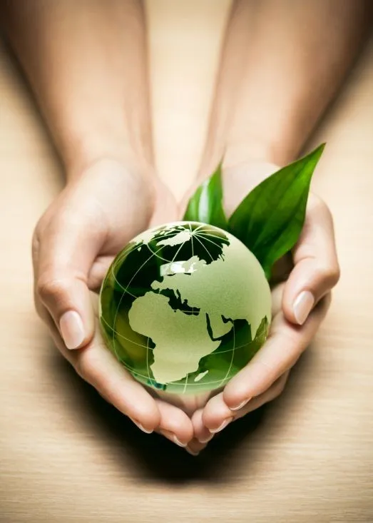 Ecología y medio ambiente | Ética y Valores 2