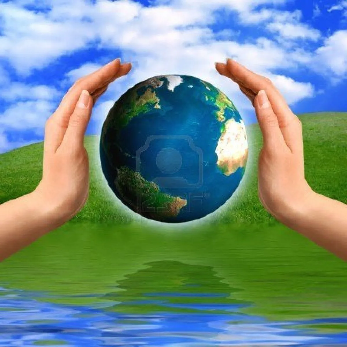 ecologia y medio ambiente: Primera publicacion