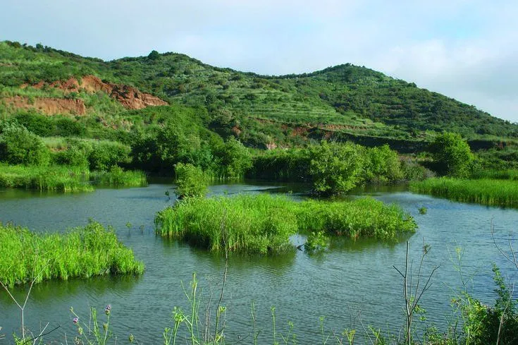 Ecologia y Territorio | Alfonso Ordosgoitia