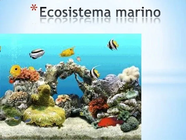 ecosistema-marino-1-638.jpg?cb ...