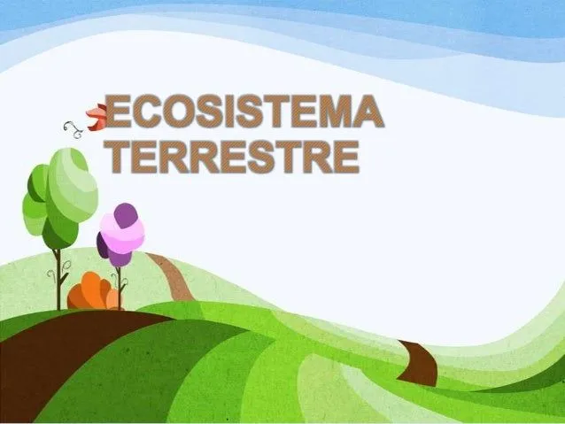 ecosistema terrestre