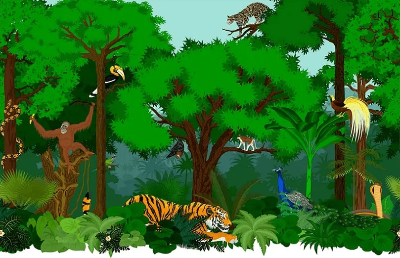 Ecosistema terrestre by adriana.acosta1 on emaze