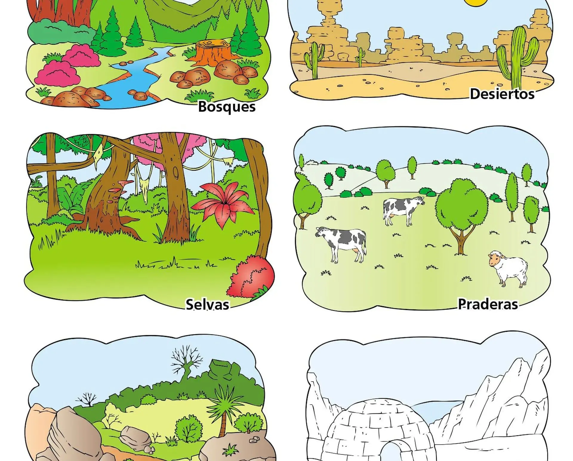 Ecosistema terrestre - Escolar - ABC Color