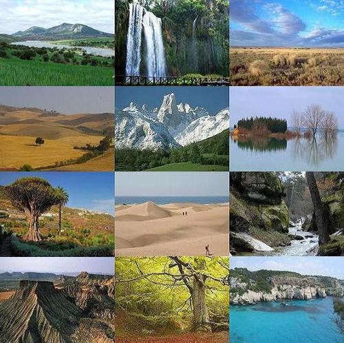 Ecosistemas: ECOSISTEMAS TERRESTRES