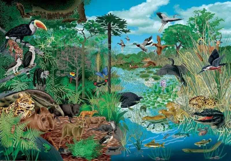 Ecosistemas terrestres y acuáticos