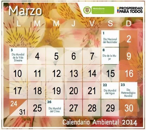 ECOTIPS FEM: CALENDARIO AMBIENTAL