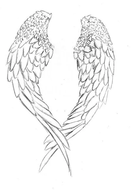 Ecro Angel Alas Design Png De Tattoo